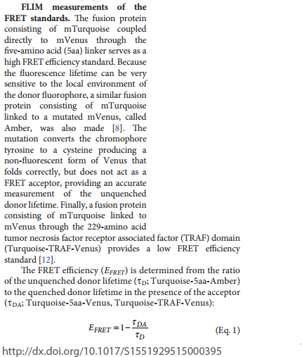  Richard N. Day (2015). Measuring Förster Resonance Energy Transfer Using Fluorescence Lifetime Imaging Microscopy. Microscopy Today, 23, pp 44-51. doi:10.1017/S1551929515000395.