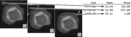 02_bg.gif (15304 bytes)