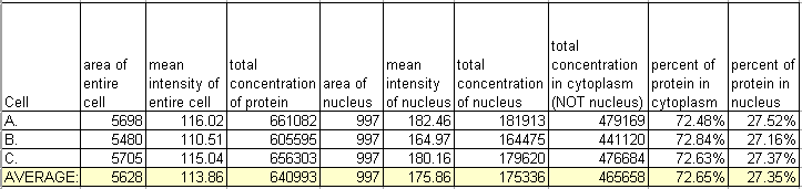 fake_cells_excel.gif (6557 bytes)